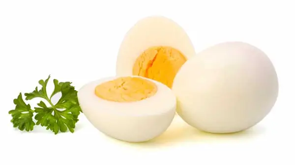 How many grams of protein in an egg?