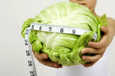 Cabbage diet